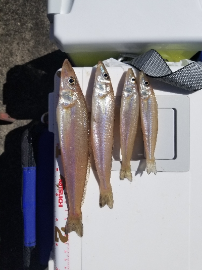 うねりでアウト