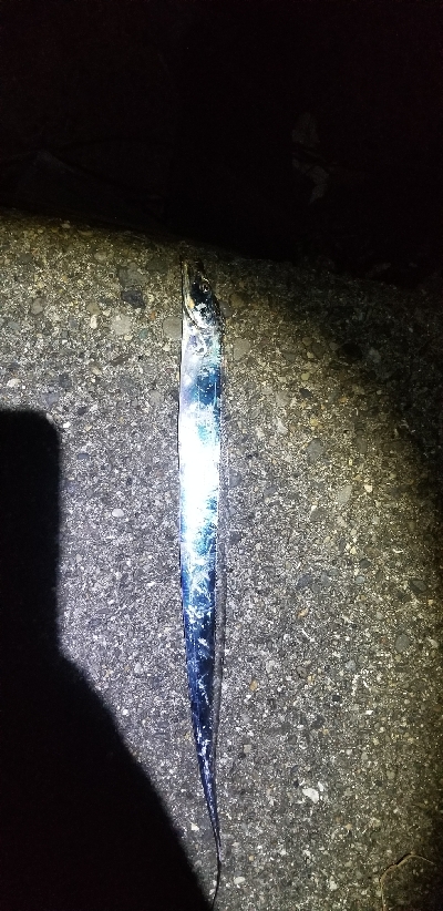 自己最多の大爆釣