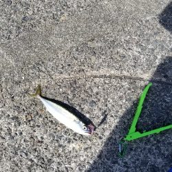 サバゲーで癒された