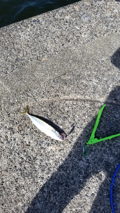 サバゲーで癒された