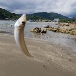 前回のリベンジ!