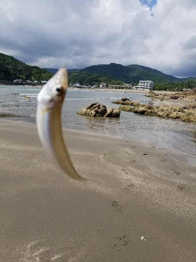 前回のリベンジ!