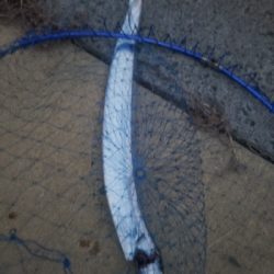 久しぶりのタッチ~