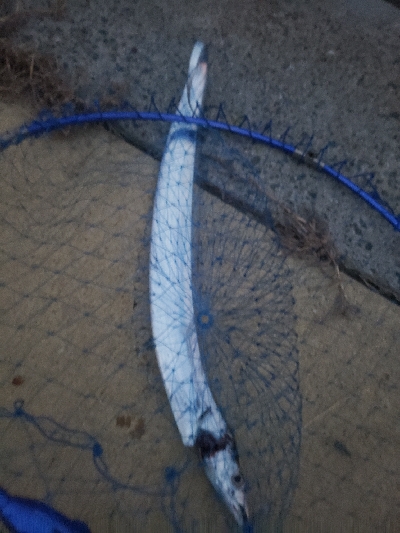 久しぶりのタッチ～