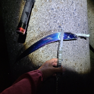 アジと太刀魚狙い。