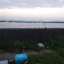 ハゼ爆釣を求めて