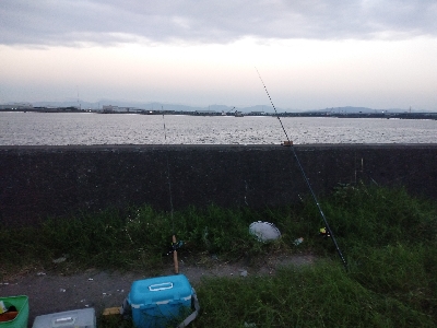 ハゼ爆釣を求めて