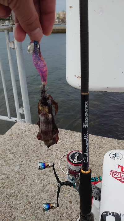 まだまだ小さいです