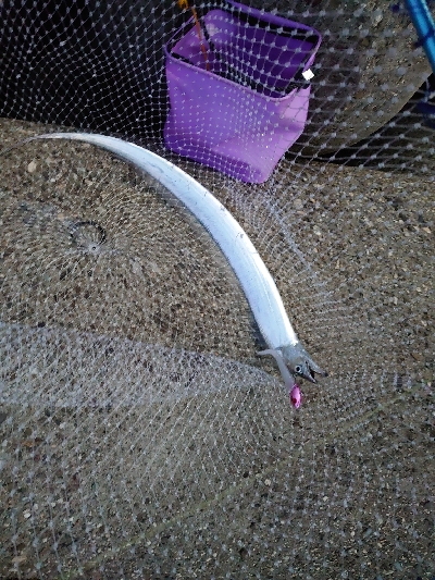 釣りがしやすい気温です