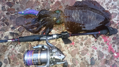 今シーズン一杯目