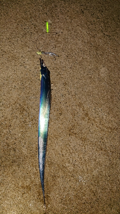 今シーズン 初！