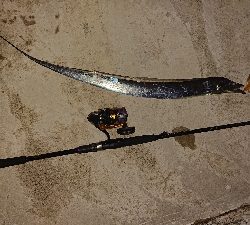 ツ抜けならず…。