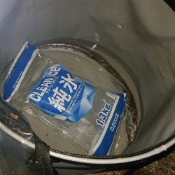 なぶらやばｯｯ