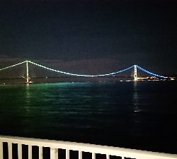 サバでボーズ逃れ~