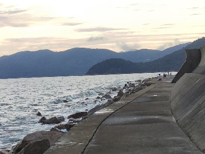 苅屋海岸のキス釣り