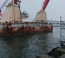 アジいず、サバ祭り