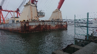 アジいず、サバ祭り