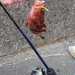 夏はまだ終わらない