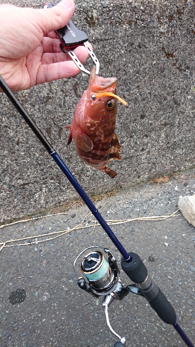 夏はまだ終わらない