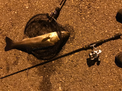 大崎上島ライトゲーム①