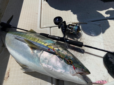 阿波哲㊙️シス…