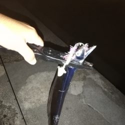 太刀魚。。。いない？