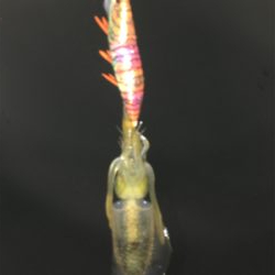 大崎上島ライトゲーム②