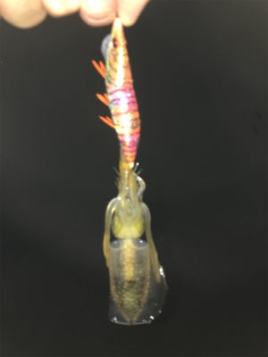 大崎上島ライトゲーム②