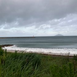 台風だからキス釣りを