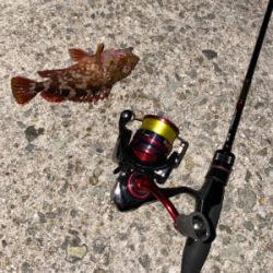 忙しい合間をぬって、、、