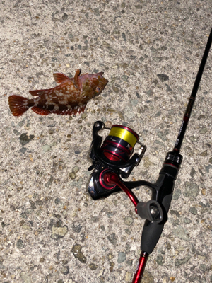 忙しい合間をぬって、、、