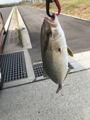 ネリゴが釣れたぞーヽ(^0^)ノ