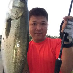 コスモスクエア釣果