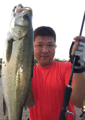 コスモスクエア釣果