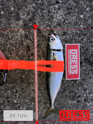 ストレス発散！