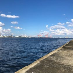 ゲリラ豪雨で・・・