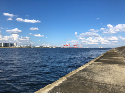 ゲリラ豪雨で・・・