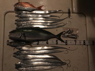 タチウオジギング