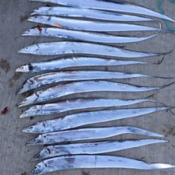 誘えばアタリ多数