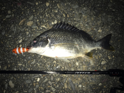 ソルトクランク