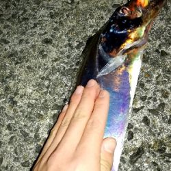 台風明け、吹き返しに気を付けながらも…