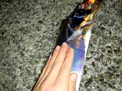 台風明け、吹き返しに気を付けながらも…