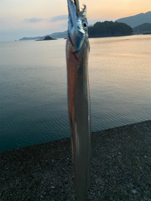 やっと秋サイズ　f4