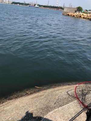 なんちゃってフカセ釣り