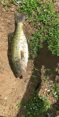 津風呂湖にてvo2