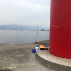 ショアジギングに行きましたが。