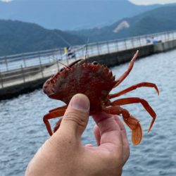 オッサンとオバサンのまったりな釣り
