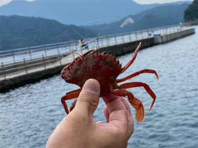 オッサンとオバサンのまったりな釣り