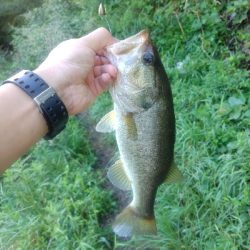 週末のハイプレッシャー