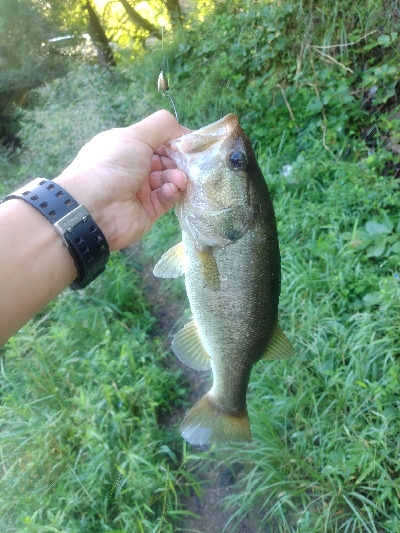 週末のハイプレッシャー